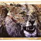 Illustration for article titled Animals Made From Unbelievably Intricate Fabric Collages
